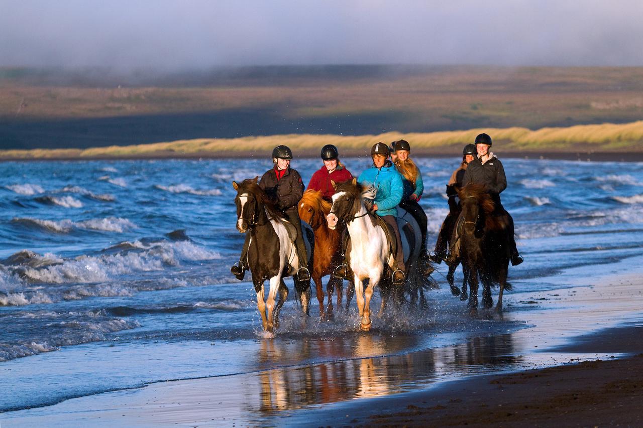 Icelandhorsetours - Helluland Saudarkrokur Экстерьер фото