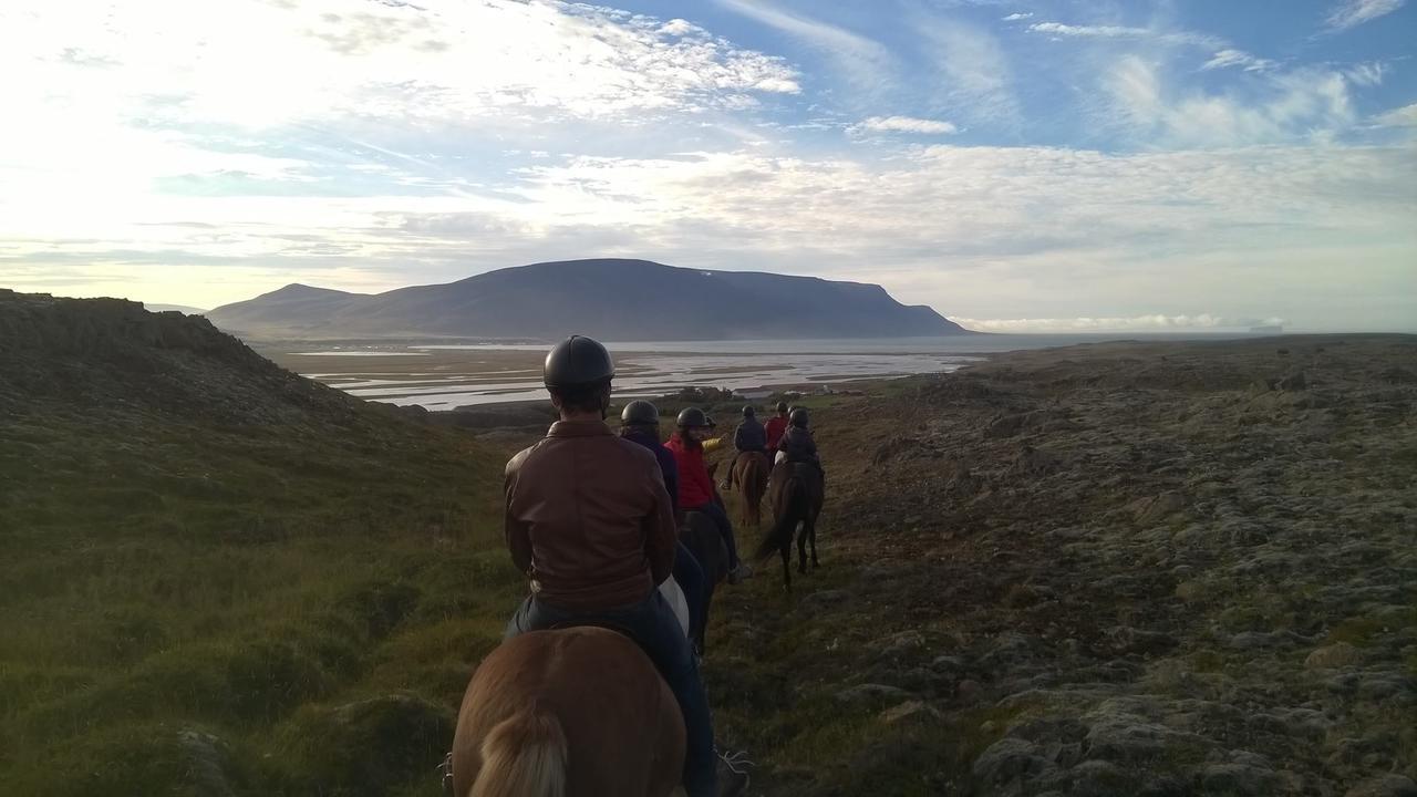 Icelandhorsetours - Helluland Saudarkrokur Экстерьер фото