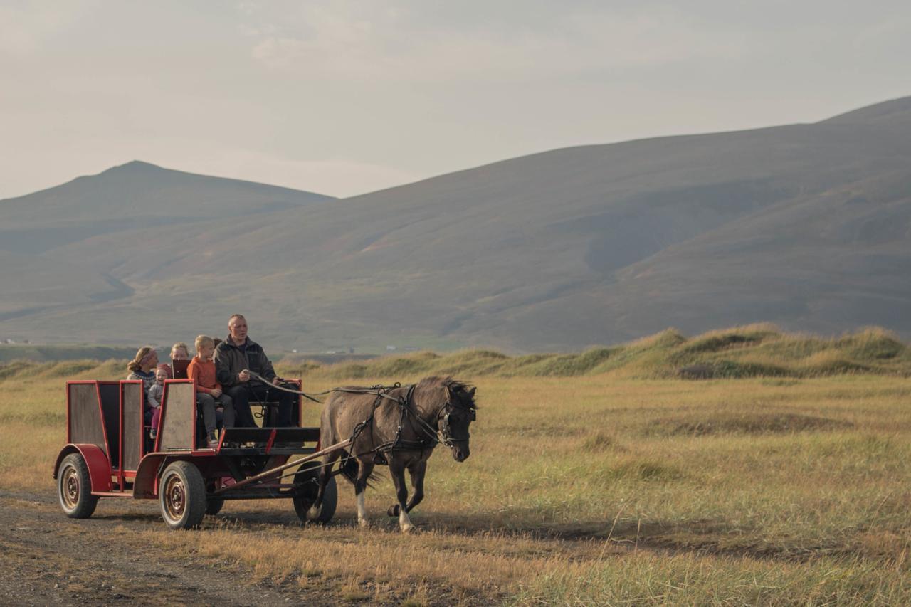 Icelandhorsetours - Helluland Saudarkrokur Экстерьер фото